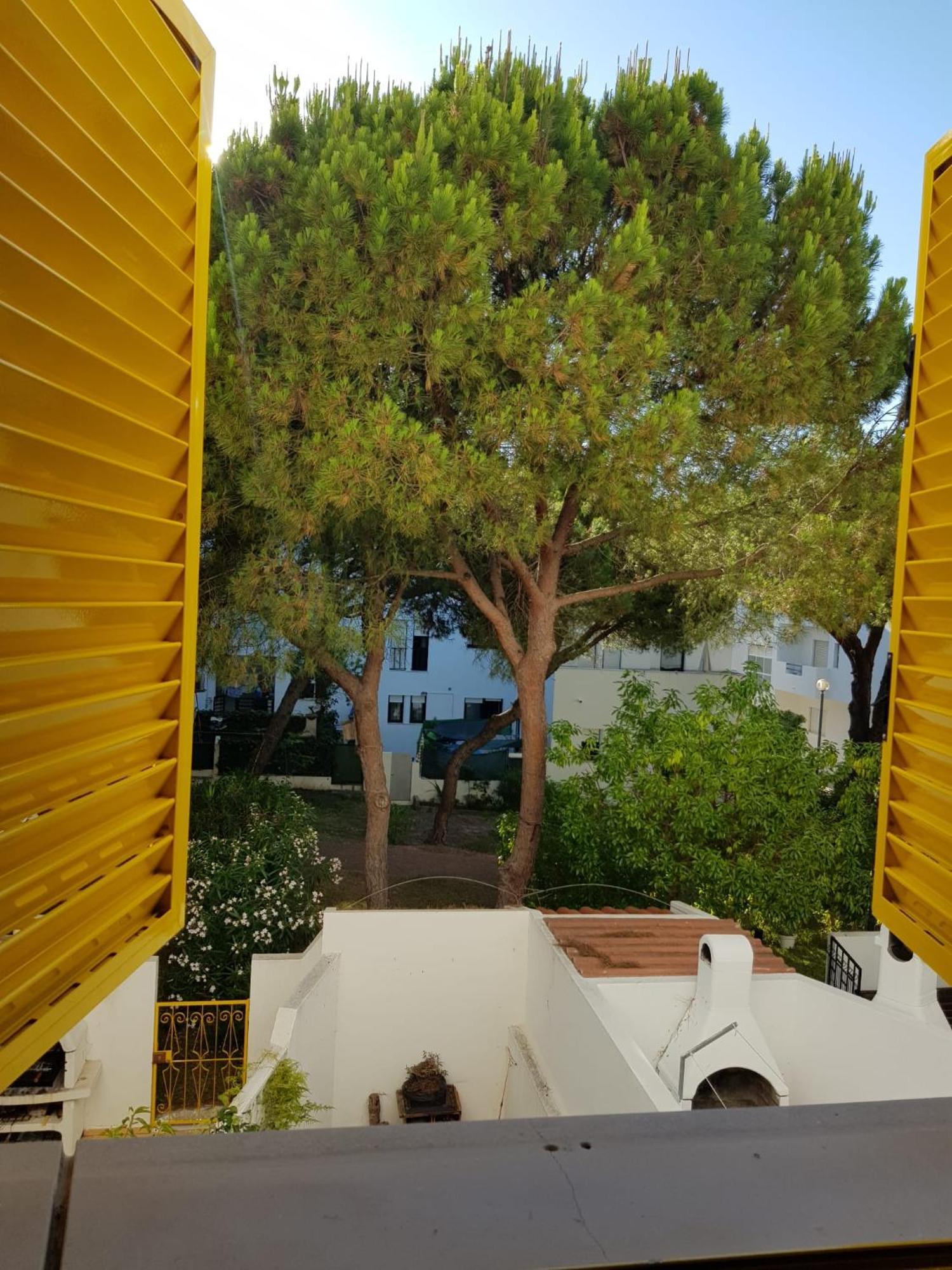 GelbBlau Falésia Albufeira Exterior foto